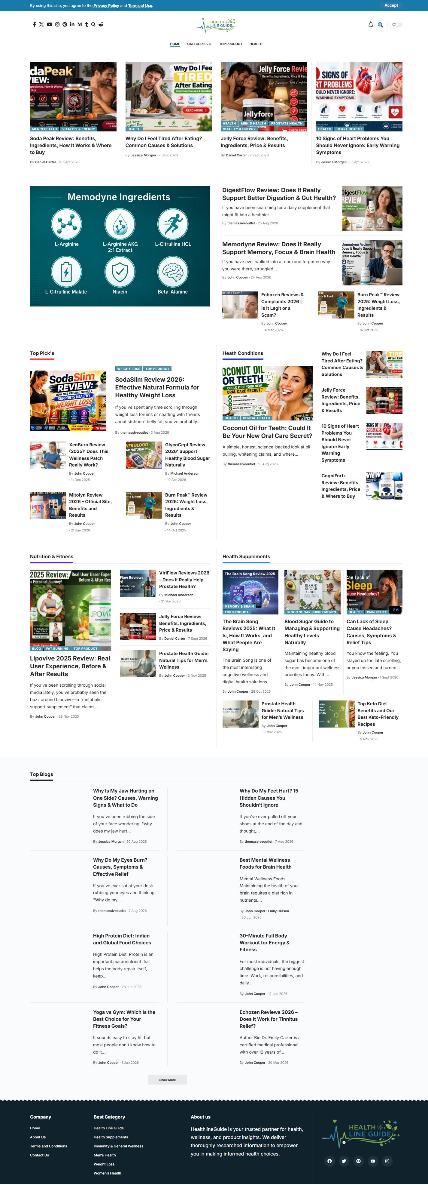 Healthline Guide website preview